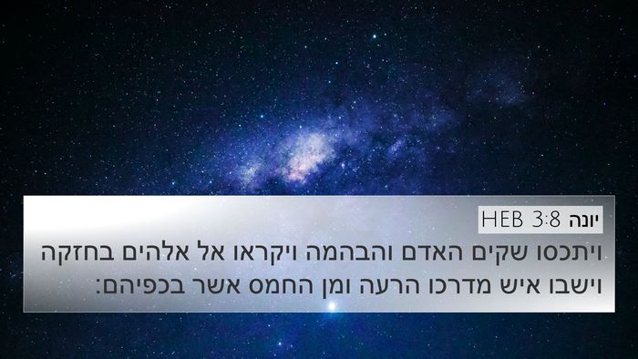 יונה 3:8 HEB Bible Verse Image