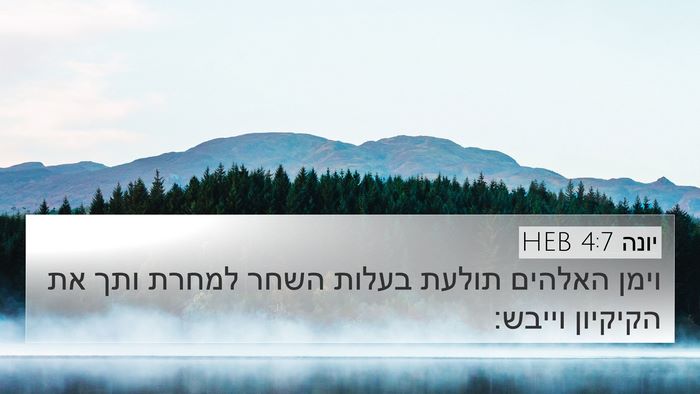 יונה 4:7 HEB 4K Wallpaper - וימן האלהים תולעת בעלות - 4K Wallpaper Bible Verse