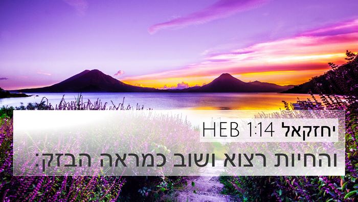 יחזקאל 1:14 HEB Bible Verse Image