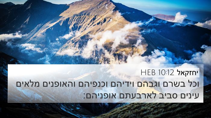 יחזקאל 10:12 HEB Bible Verse Image