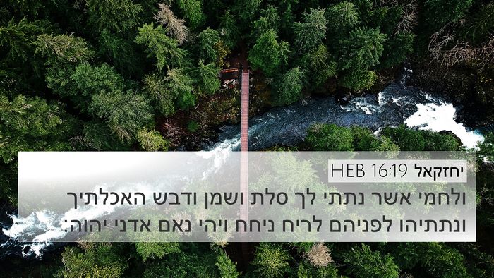 יחזקאל 16:19 HEB Bible Verse Image