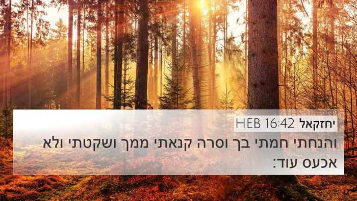 יחזקאל 16:42 HEB Bible Verse Image