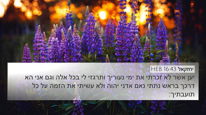 יחזקאל 16:43 HEB Bible Verse Image
