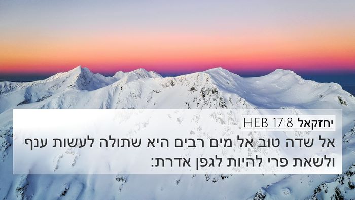 יחזקאל 17:8 HEB 4K Wallpaper - אל שדה טוב אל מים רבים היא - 4K Wallpaper Bible Verse