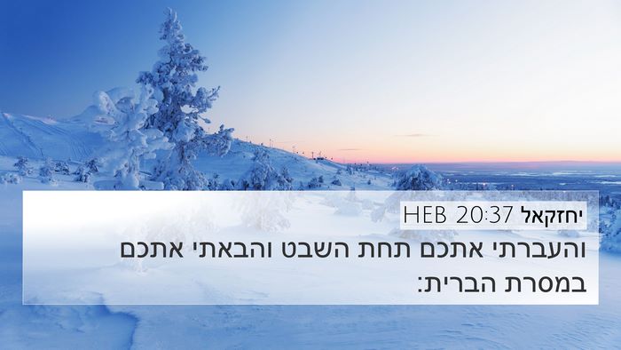 יחזקאל 20:37 HEB Bible Verse Image