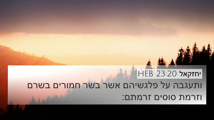 יחזקאל 23:20 HEB Bible Verse Image