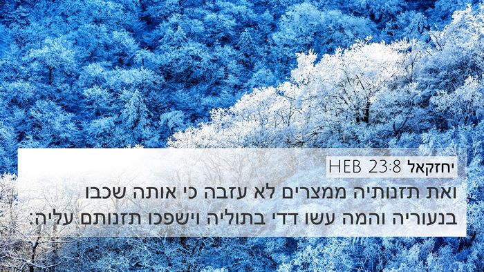 יחזקאל 23:8 HEB Bible Verse Image