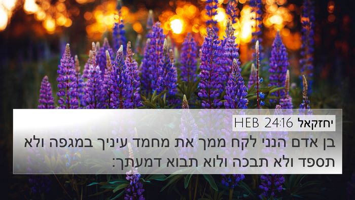 יחזקאל 24:16 HEB Bible Verse Image