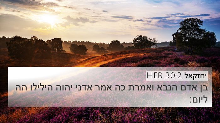 יחזקאל 30:2 HEB Bible Verse Image