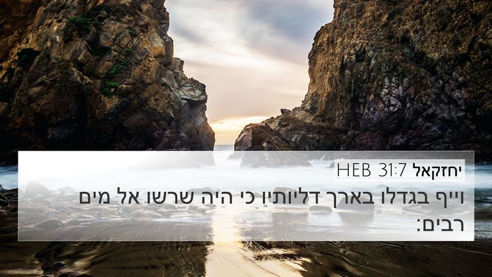 יחזקאל 31:7 HEB 4K Wallpaper - וייף בגדלו בארך דליותיו כי - 4K Wallpaper Bible Verse