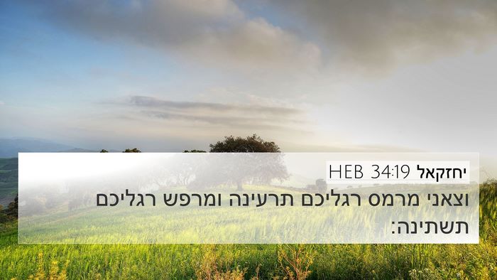 יחזקאל 34:19 HEB 4K Wallpaper - וצאני מרמס רגליכם תרעינה - 4K Wallpaper Bible Verse