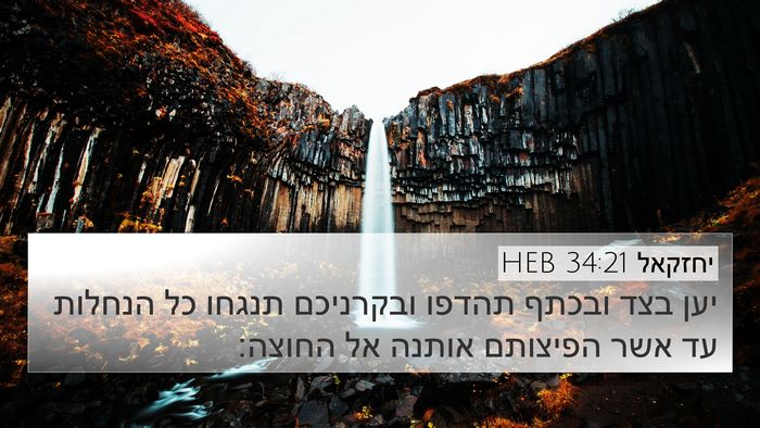 יחזקאל 34:21 HEB Bible Verse Image