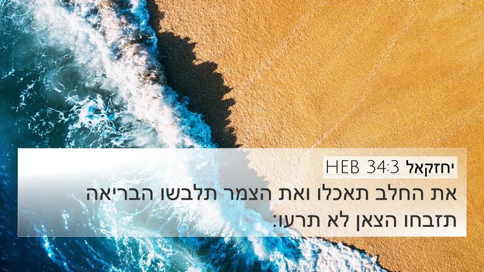 יחזקאל 34:3 HEB Bible Verse Image