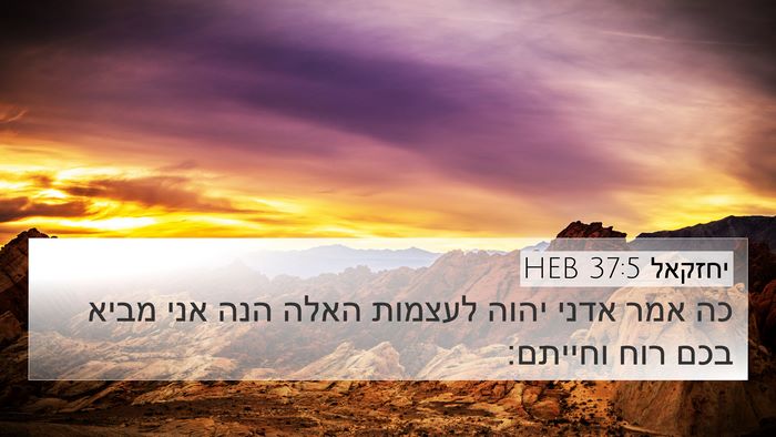 יחזקאל 37:5 HEB Bible Verse Image
