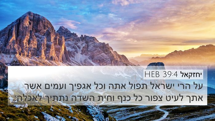 יחזקאל 39:4 HEB 4K Wallpaper - על הרי ישראל תפול אתה וכל - 4K Wallpaper Bible Verse