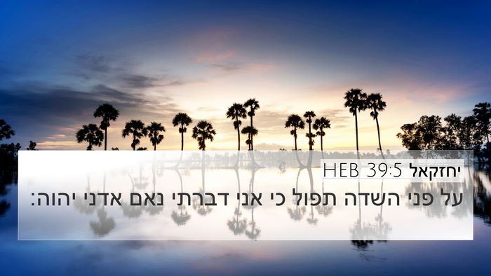 יחזקאל 39:5 HEB 4K Wallpaper - על פני השדה תפול כי אני - 4K Wallpaper Bible Verse