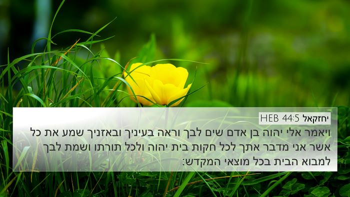 יחזקאל 44:5 HEB Bible Verse Image