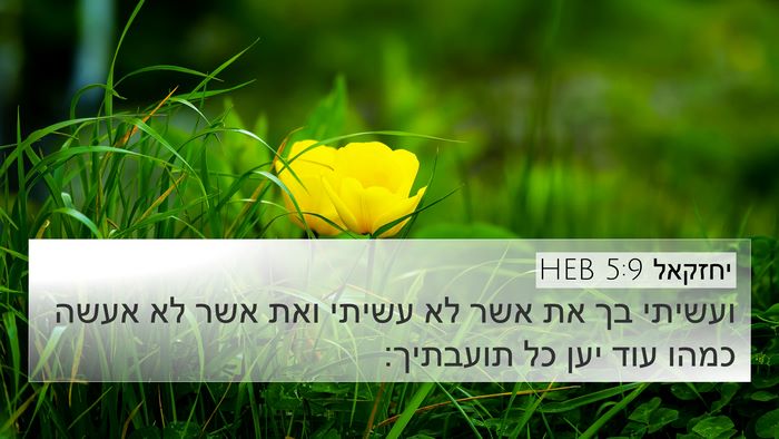 יחזקאל 5:9 HEB Bible Verse Image