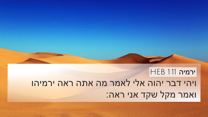 ירמיה 1:11 HEB Bible Verse Image