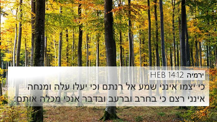 ירמיה 14:12 HEB Bible Verse Image