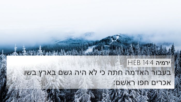 ירמיה 14:4 HEB Bible Verse Image