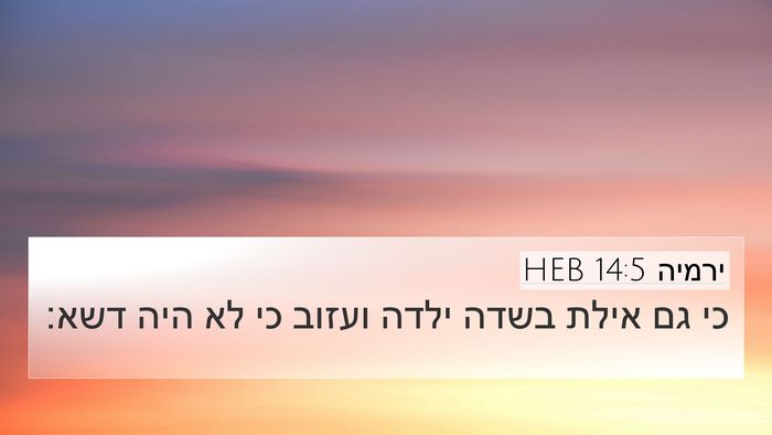 ירמיה 14:5 HEB Bible Verse Image