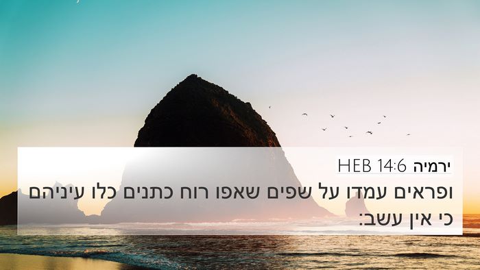 ירמיה 14:6 HEB Bible Verse Image