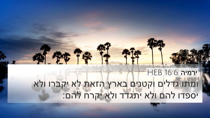 ירמיה 16:6 HEB 4K Wallpaper - ומתו גדלים וקטנים בארץ - 4K Wallpaper Bible Verse
