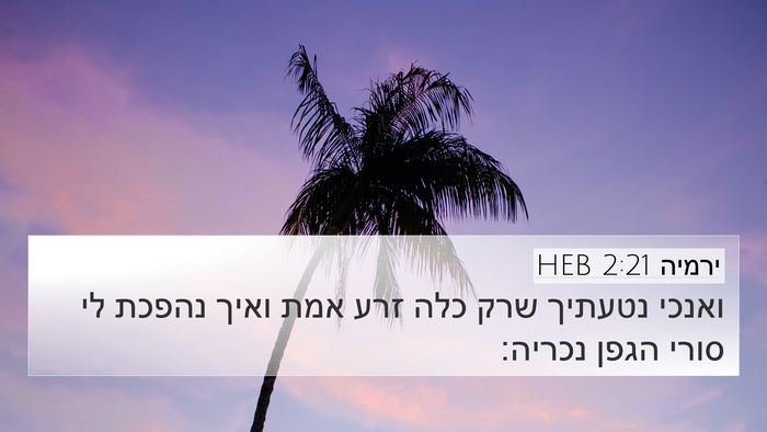 ירמיה 2:21 HEB Bible Verse Image