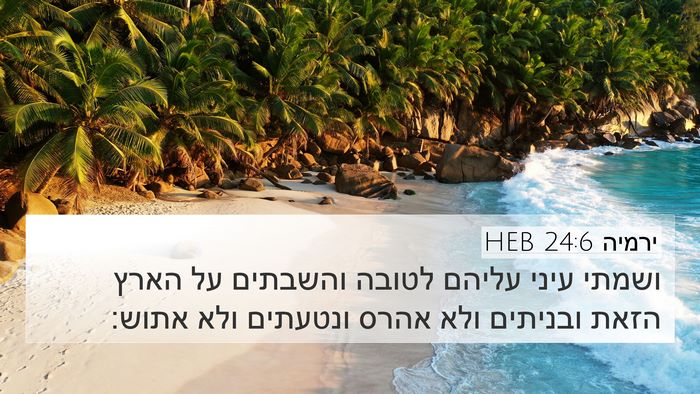 ירמיה 24:6 HEB Bible Verse Image