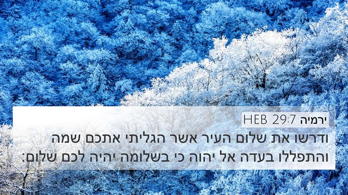 ירמיה 29:7 HEB Bible Verse Image