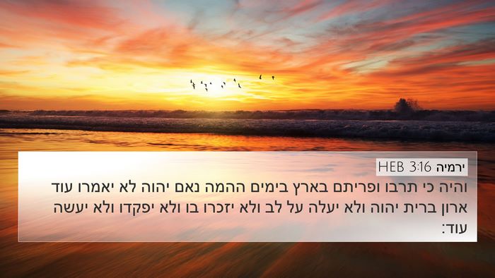 ירמיה 3:16 HEB 4K Wallpaper - והיה כי תרבו ופריתם בארץ - 4K Wallpaper Bible Verse