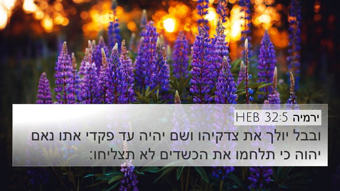 ירמיה 32:5 HEB Bible Verse Image