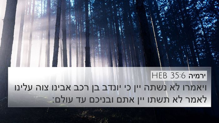 ירמיה 35:6 HEB Bible Verse Image