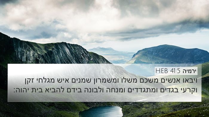 ירמיה 41:5 HEB Bible Verse Image