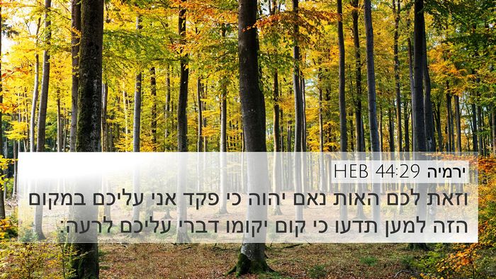 ירמיה 44:29 HEB Bible Verse Image