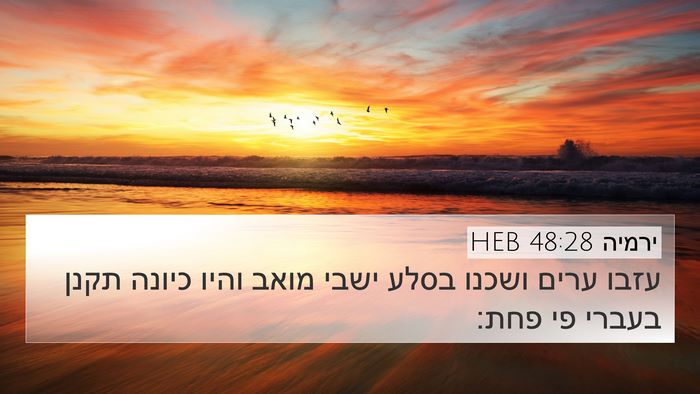 ירמיה 48:28 HEB Bible Verse Image