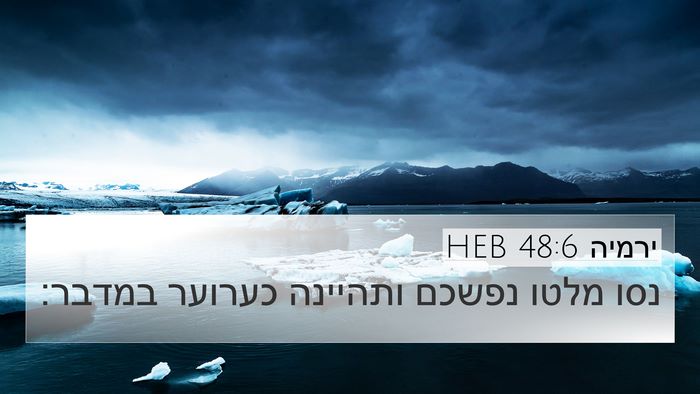 ירמיה 48:6 HEB Bible Verse Image