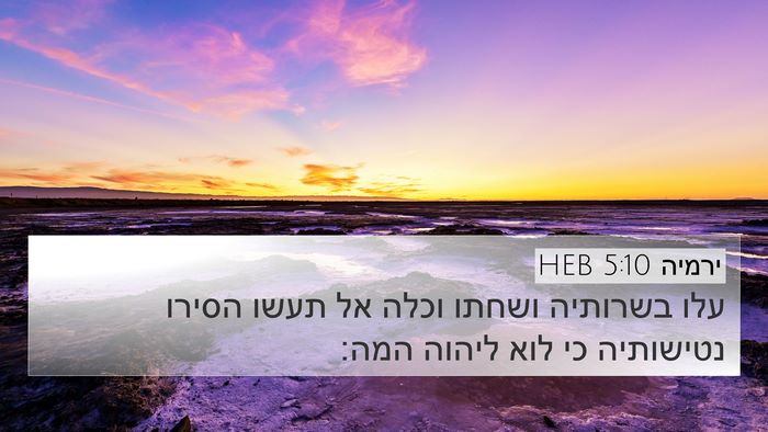 ירמיה 5:10 HEB 4K Wallpaper - עלו בשרותיה ושחתו וכלה אל - 4K Wallpaper Bible Verse
