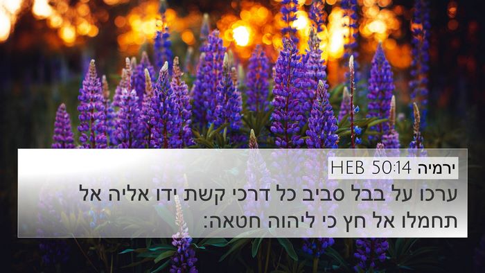 ירמיה 50:14 HEB Bible Verse Image