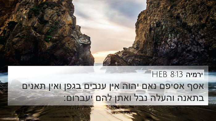ירמיה 8:13 HEB Bible Verse Image