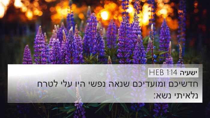 ישעיה 1:14 HEB Bible Verse Image
