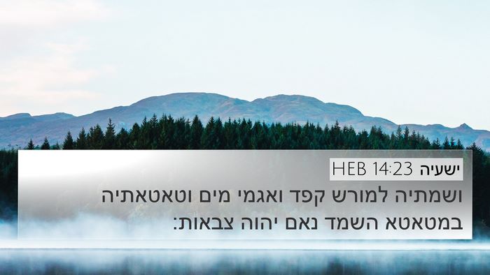 ישעיה 14:23 HEB Bible Verse Image