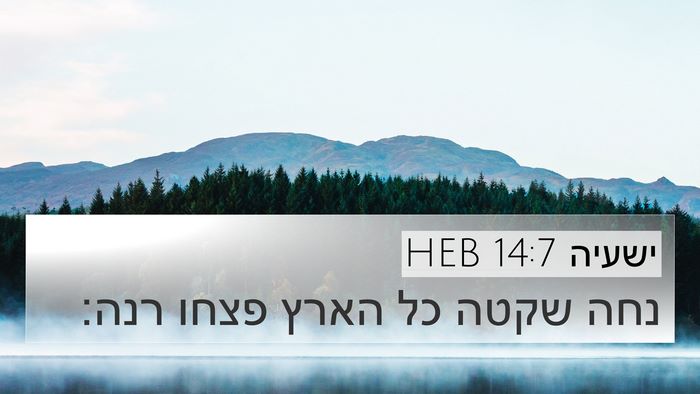ישעיה 14:7 HEB 4K Wallpaper - נחה שקטה כל הארץ פצחו - 4K Wallpaper Bible Verse