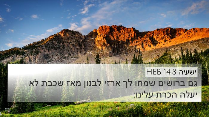 ישעיה 14:8 HEB Bible Verse Image