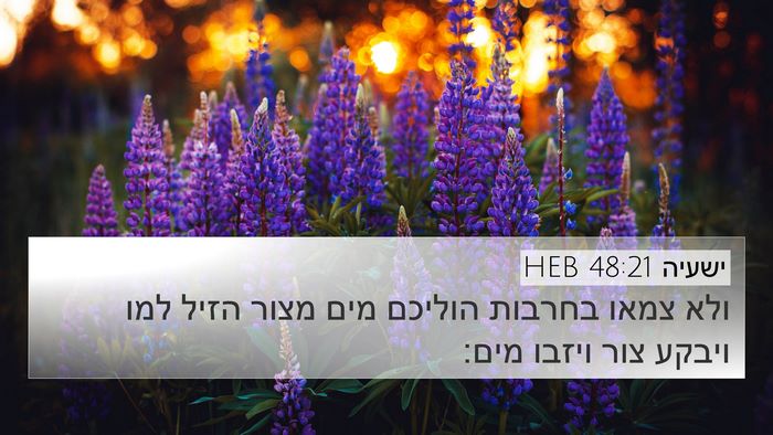 ישעיה 48:21 HEB Bible Verse Image