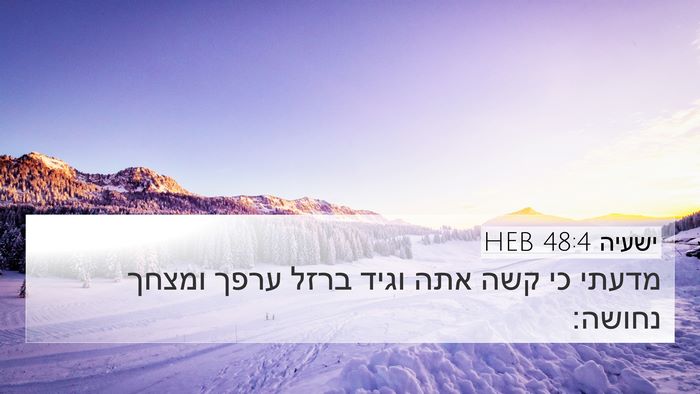 ישעיה 48:4 HEB Bible Verse Image