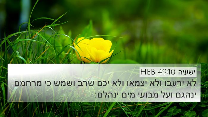 ישעיה 49:10 HEB Bible Verse Image