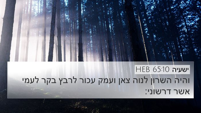 ישעיה 65:10 HEB Bible Verse Image