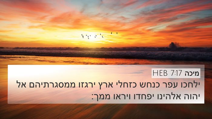 מיכה 7:17 HEB 4K Wallpaper - ילחכו עפר כנחש כזחלי ארץ - 4K Wallpaper Bible Verse
